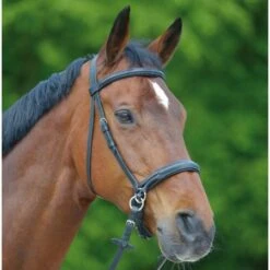 Waldhausen Star Bridle - Bitless