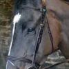 Celtic Equine Comfort Vogue Bridle & Reins