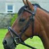 Celtic Equine Bridle & Reins - Classic Leather