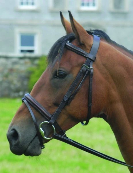 Celtic Equine Bridle & Reins - Classic Leather 1 Celtic Equine Bridle & Reins - Classic Leather