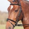 Shires Argenta Patent Flash Bridle