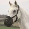 Shires Comfort Grazing Muzzle