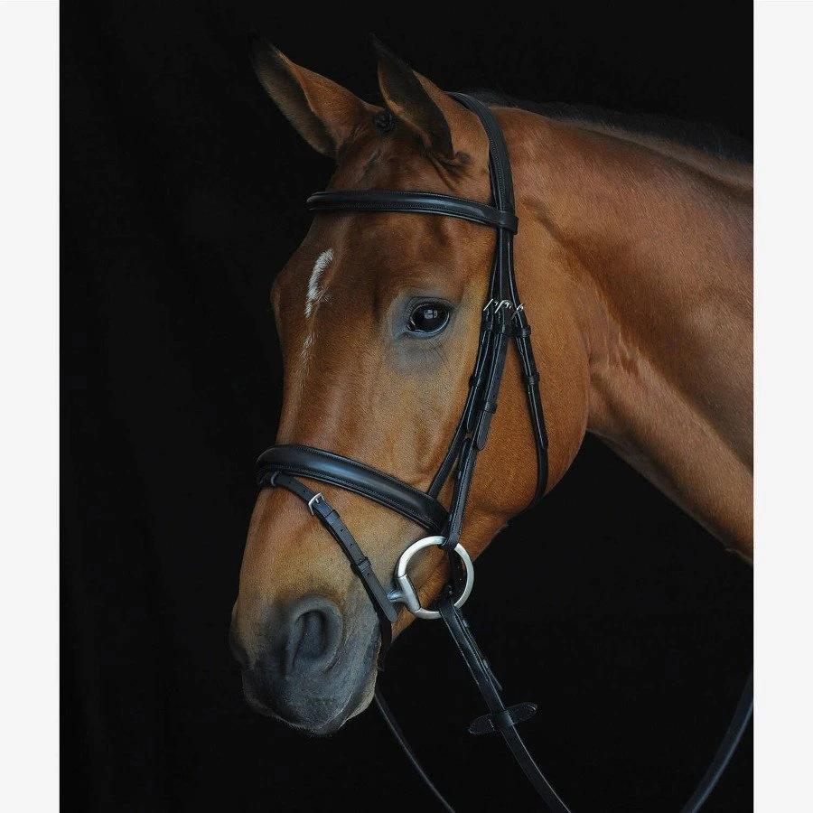 Collegiate Comfort Crown Padded Raised Flash Bridle 1 Collegiate Comfort Crown Padded Raised Flash Bridle