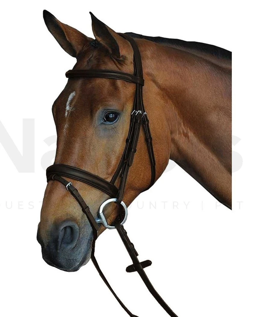 Collegiate Comfort Crown Padded Raised Flash Bridle 2 Collegiate Comfort Crown Padded Raised Flash Bridle – Image 2