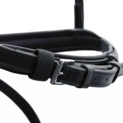 Schockemohle Rome Bridle