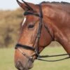 Shires Argenta Patent Dressage Bridle With Flash
