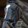 Celtic Equine "Eclipse" Patent Leather Bridle & Reins