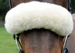Celtic Equine Sheepskin Noseband - Cream