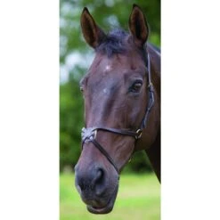 Shires Velociti GARA Mexican Noseband
