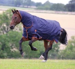 Shires Highlander Original 200 Combo