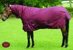 Celtic Equine Igloo Turnout - Full Neck