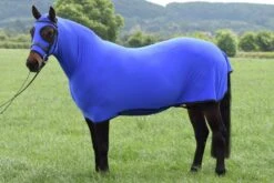 Belvoir Rug Company Honsie Life