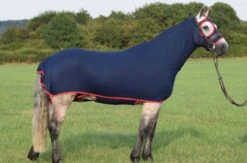 Belvoir Rug Company Honsie Life -Fournitures Équestres init image 724