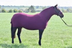 Belvoir Rug Company Honsie Life -Fournitures Équestres init image 725