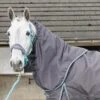 Whitaker Ottowa Combo Turnout Rug - 300g