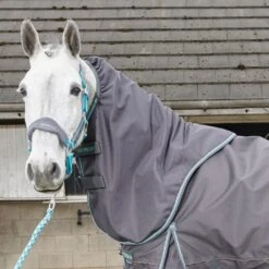 Whitaker Ottowa Combo Turnout Rug - 300g