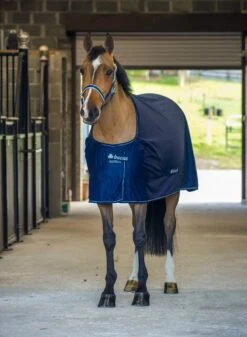 Bucas Power Cooler - Pony