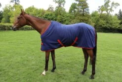 Celtic Equine Fleece Cooler