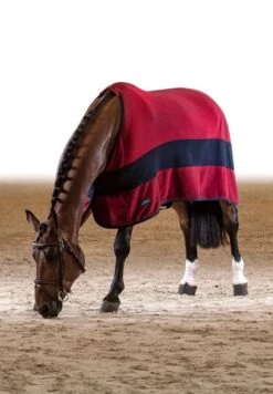 Equiline Steve Microfleece Walking Rug