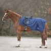 Waldhausen Rain Excercise Sheet With Saddle Gap