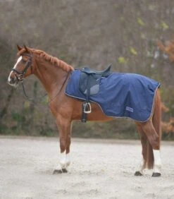 Waldhausen Rain Excercise Sheet With Saddle Gap