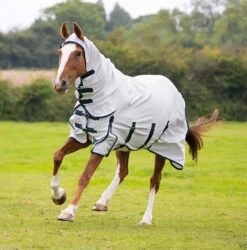 Shires Sweet-Itch Combo