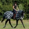 Bucas Buzz-Off Riding Zebra