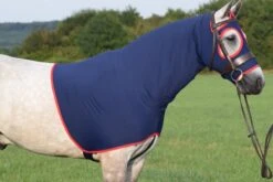 Belvoir Rug Company Show Hood Life