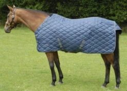 Celtic Equine Jaguar