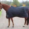 Shires Tempest 100 Stable Rug
