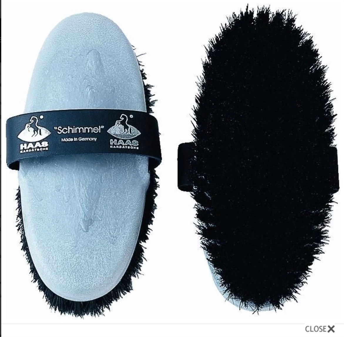 HAAS Schimmell 1 HAAS Schimmell