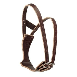 Miracle Collar 3 Miracle Collar – Image 3