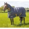 Shires Tempest Original 300 Turnout Combo Rug