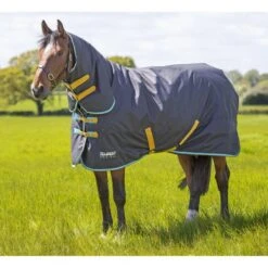 Shires Tempest Original 300 Turnout Combo Rug